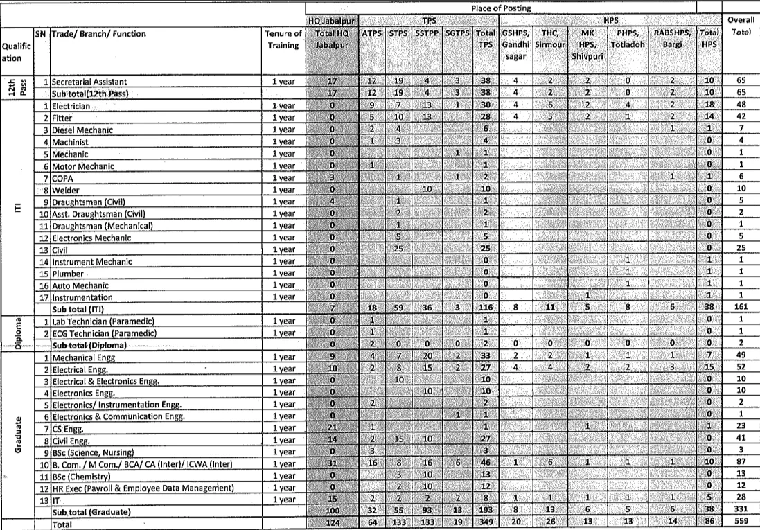 MPPGCL Apprentice Trainees Recruitment 2025